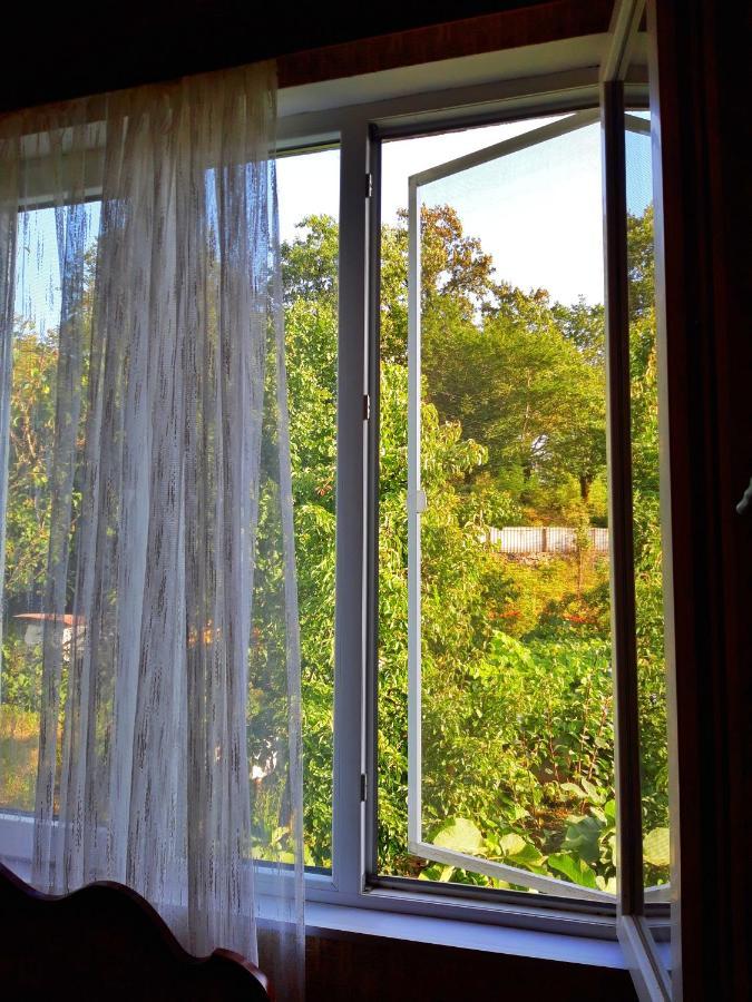 Vaso'S Guesthouse Katskhi Eksteriør bilde